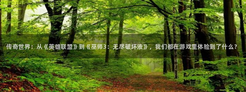 高德娱乐平台注册：传奇世界：从《英雄联盟》到《巫师3：无尽破