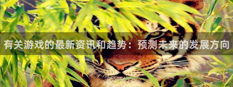 高德娱乐代理登陆：有关游戏的最新资讯和趋势：预测未来的发展方