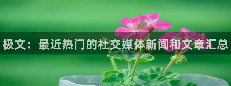 高德娱乐咨询：极文：最近热门的社交媒体新闻和文章汇总