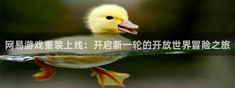 高德娱乐网址官网：网易游戏重装上线：开启新一轮的开放世界冒险
