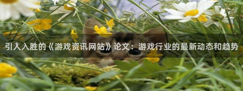 高德娱乐下载：引人入胜的《游戏资讯网站》论文：游戏行业的最新