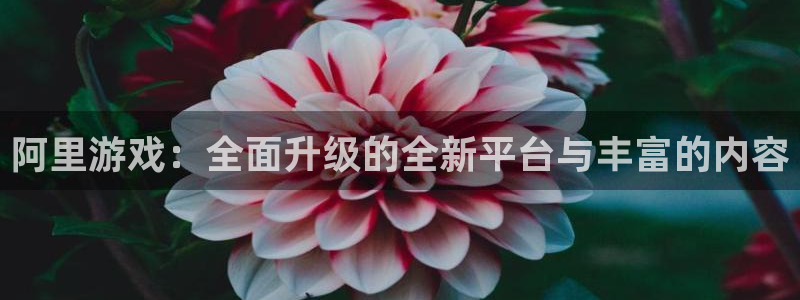 高德娱乐娱乐：阿里游戏：全面升级的全新平台与丰富的内容