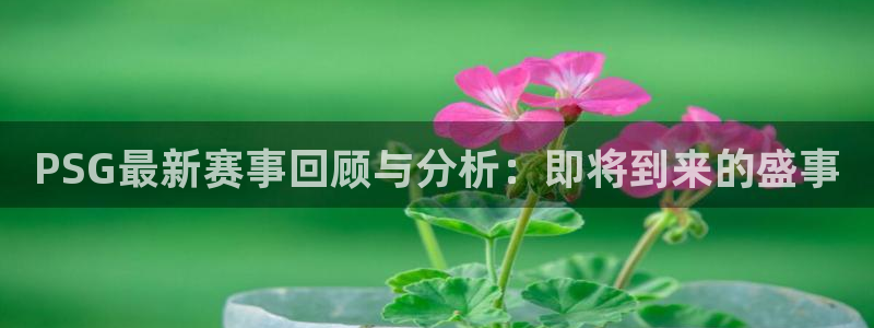 高德娱乐注册开户：PSG最新赛事回顾与分析：即将到来的盛事