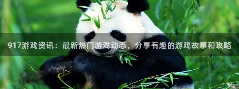 高德娱乐注册网站：917游戏资讯：最新热门游戏动态，分享有趣