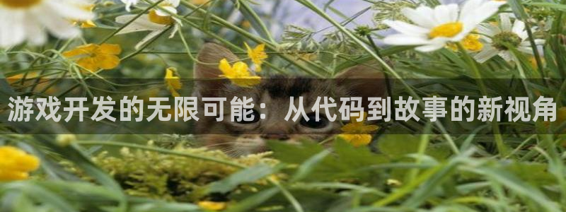 高德娱乐登录：游戏开发的无限可能：从代码到故事的新视角