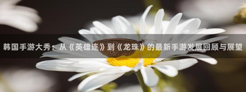 高德娱乐平台官网登录:韩国手游大秀:从《英雄连》到《龙珠》的