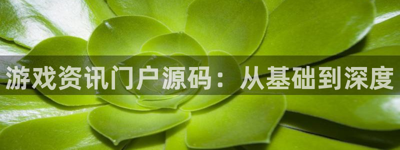 高德娱乐：游戏资讯门户源码：从基础到深度