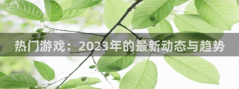 高德娱乐平台登录入口：热门游戏：2023年的最新动态与趋势
