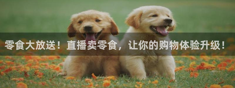 斗球nba直播app下载：零食大放送！直播卖零食，让你的购物体验升级！