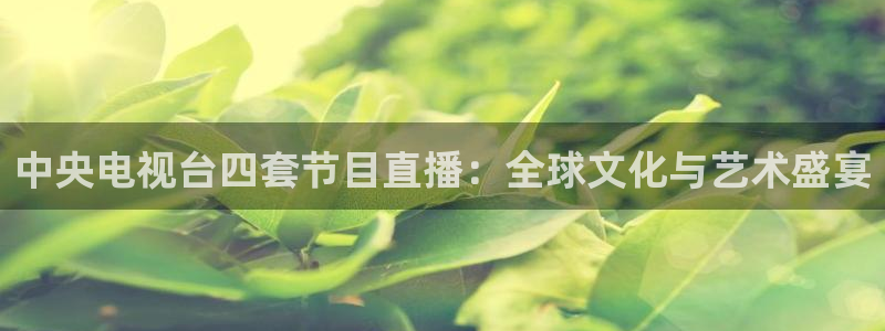 斗球体育app手机版：中央电视台四套节目直播：全球文化与艺术盛宴