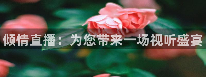 斗球直播(ios版)：倾情直播：为您带来一场视听盛宴