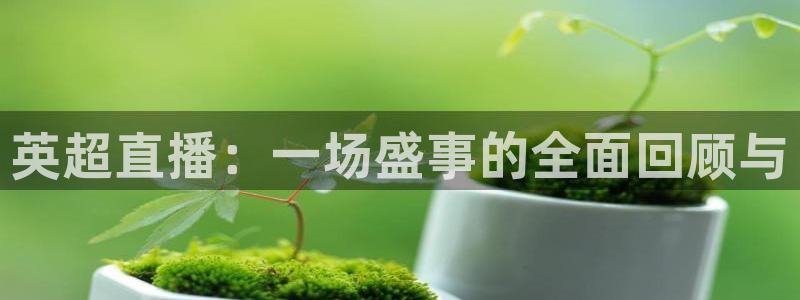 斗球在线直播下载：英超直播：一场盛事的全面回顾与