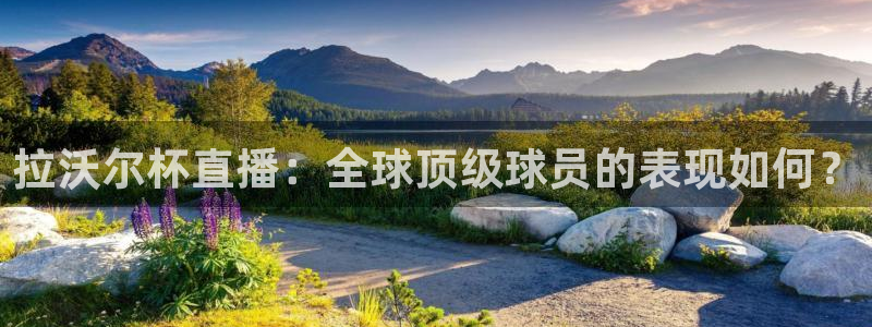 斗球直播电脑版：拉沃尔杯直播：全球顶级球员的表现如何？
