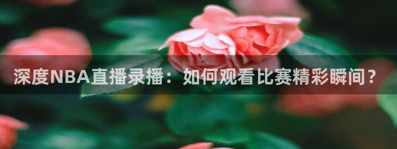斗球体育直播下载：深度NBA直播录播：如何观看比赛精彩瞬间？