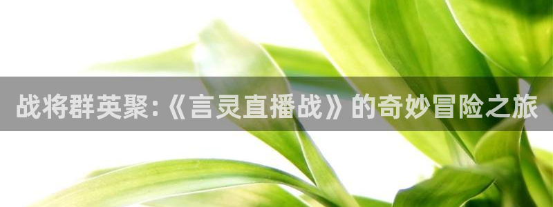 斗球app直播：战将群英聚:《言灵直播战》的奇妙冒险之旅