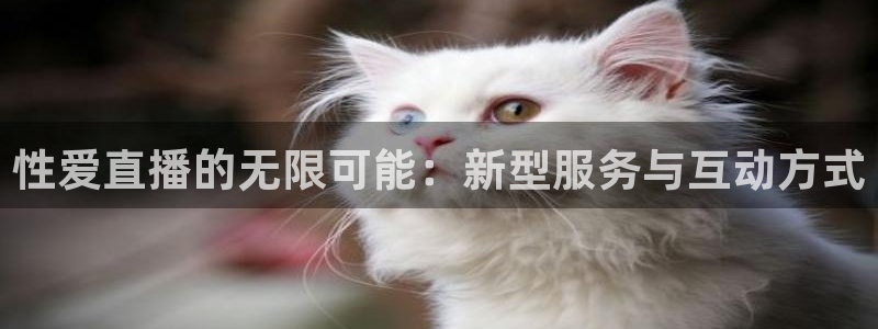 斗球直播app下载安卓：性爱直播的无限可能：新型服务与互动方式