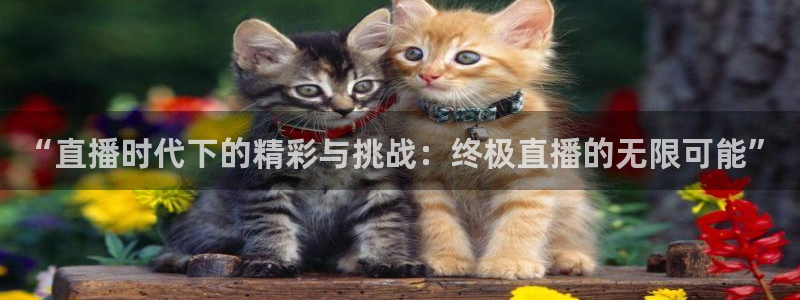斗球直播在线观看：“直播时代下的精彩与挑战：终极直播的无限可能”