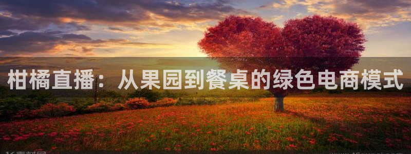 斗球直播app免费下载：柑橘直播：从果园到餐桌的绿色电商模式